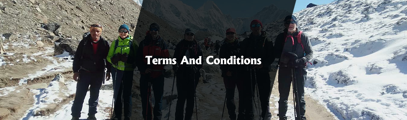 terms and conditions